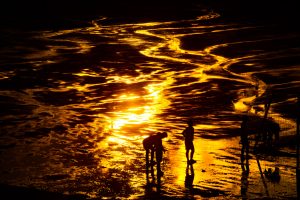 【翔凜中学校・高等学校】写真同好会 南関東ブロック予選突破！